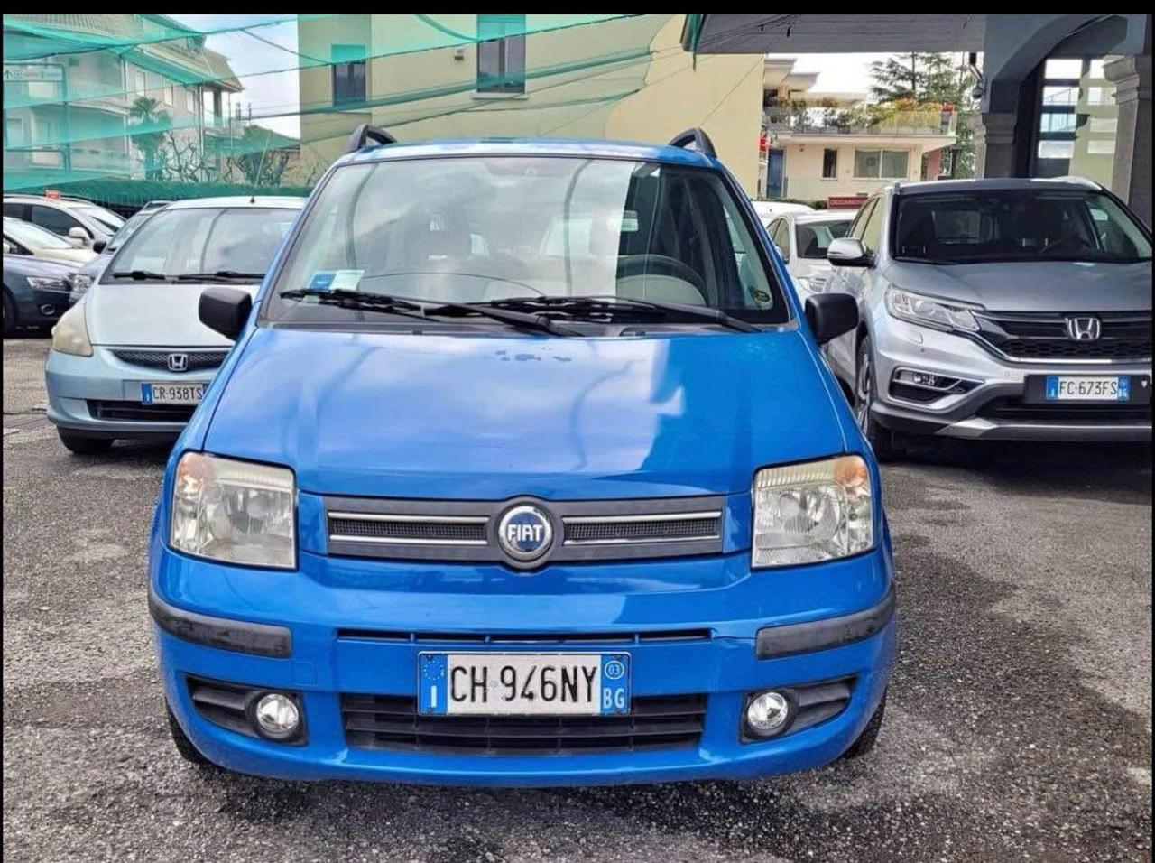 Fiat Panda 1100 i.e. cat Young