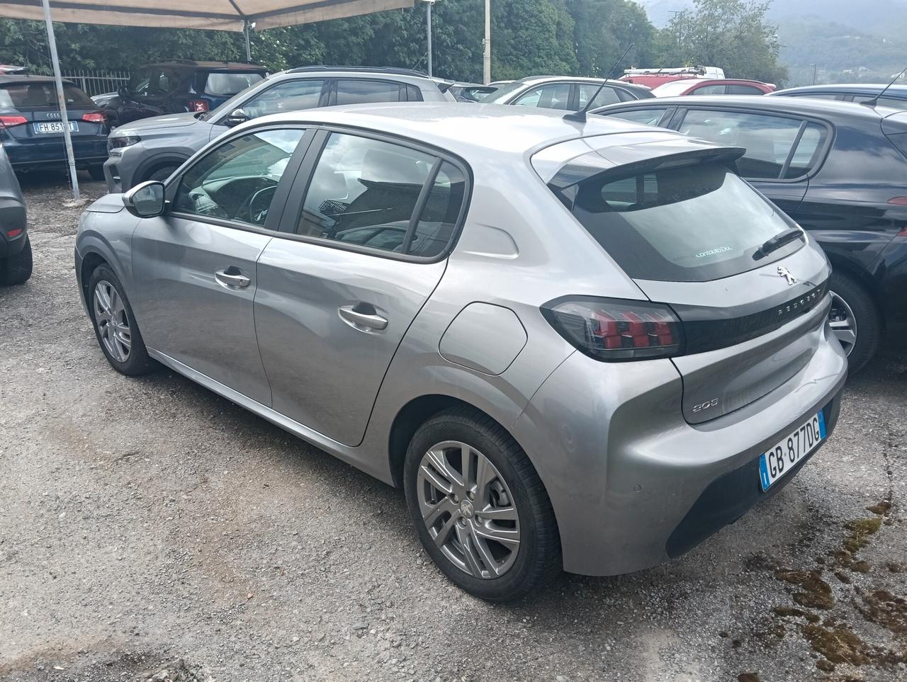 Peugeot 208 BlueHDi 100 S&S 5 porte Active