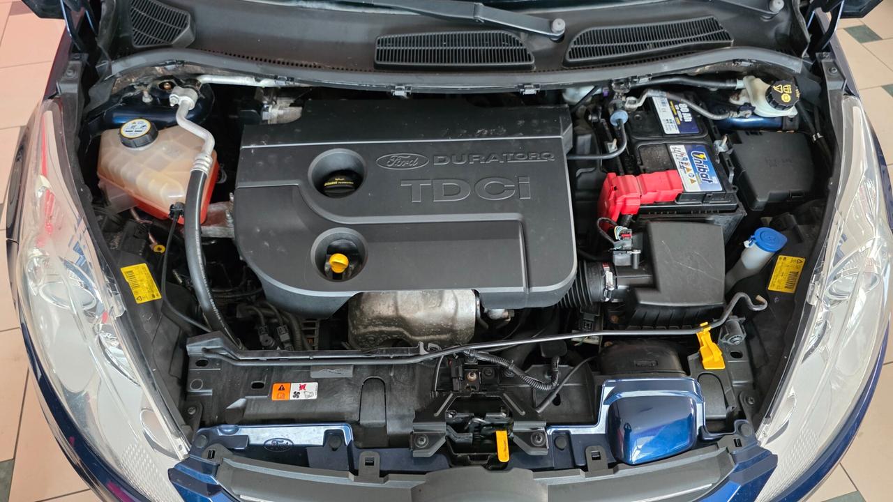 Ford Fiesta 1.4 TDCi 5p. Titanium