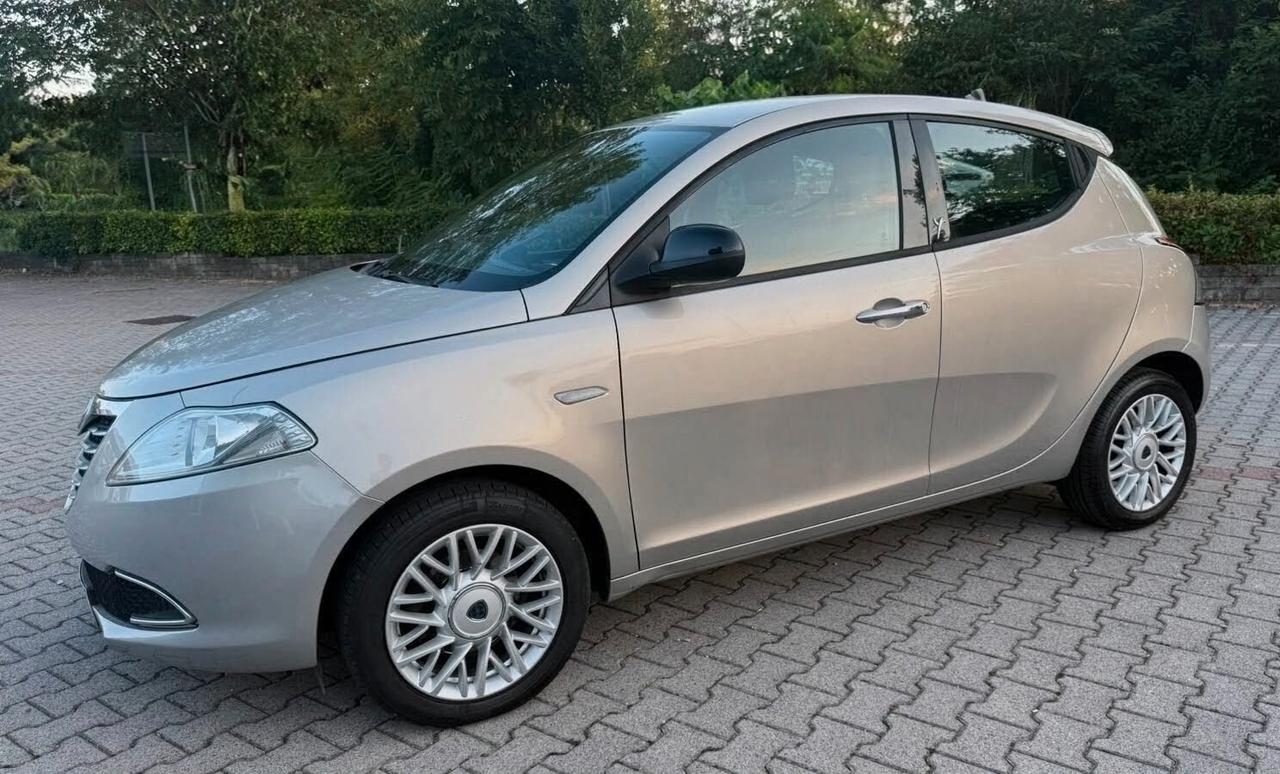 Lancia Ypsilon 1.3 MJT 16V 95 CV 5 porte S&S Elle