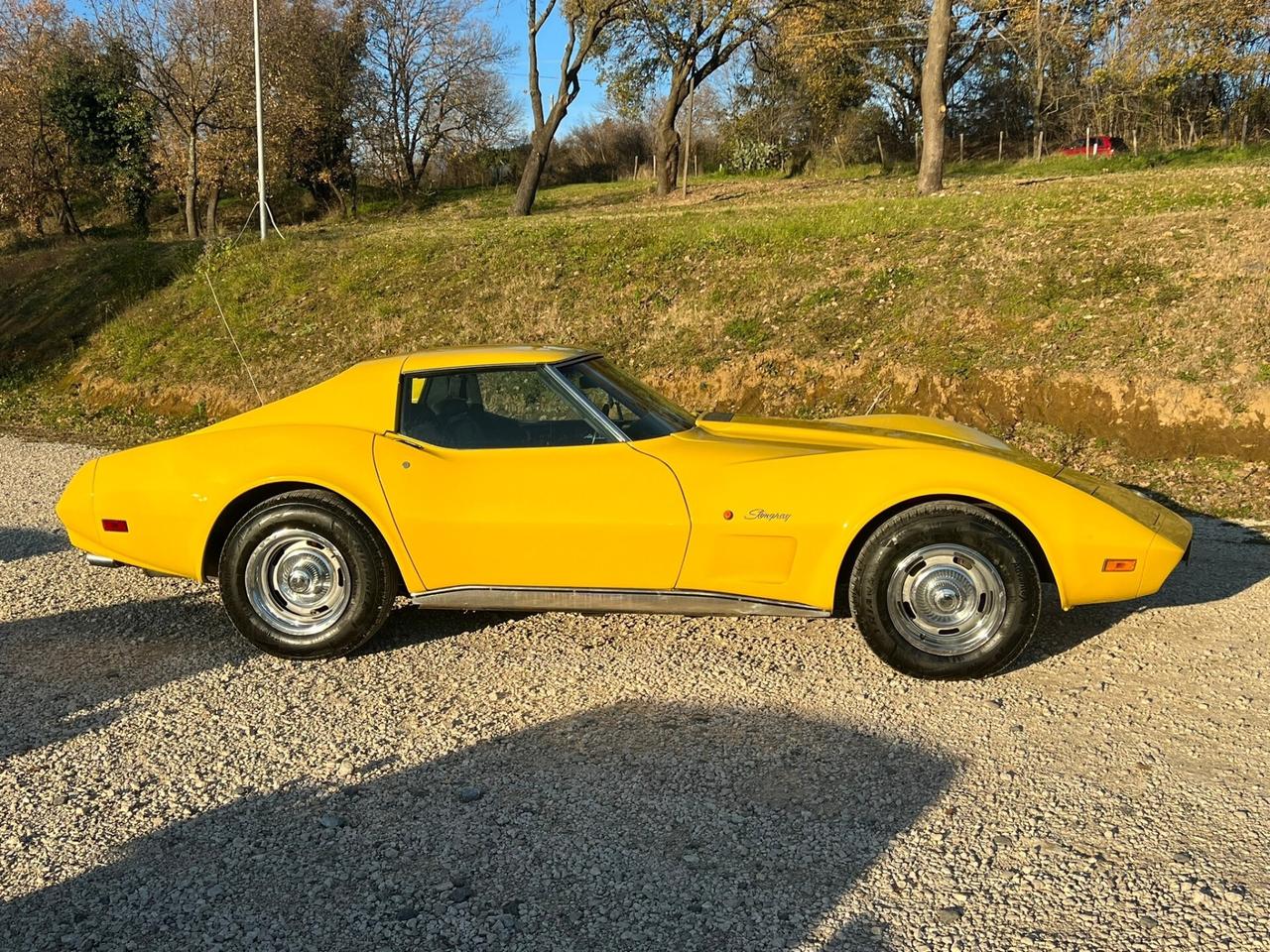 Chevrolet Corvette STINGRAY C3 1974