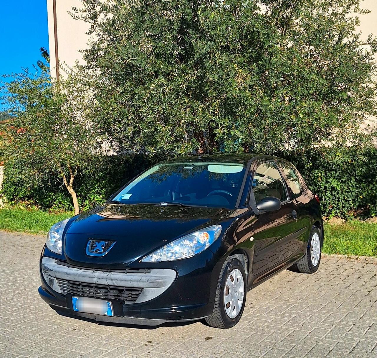 Peugeot 206 Plus - Tagliandata - Unipropr