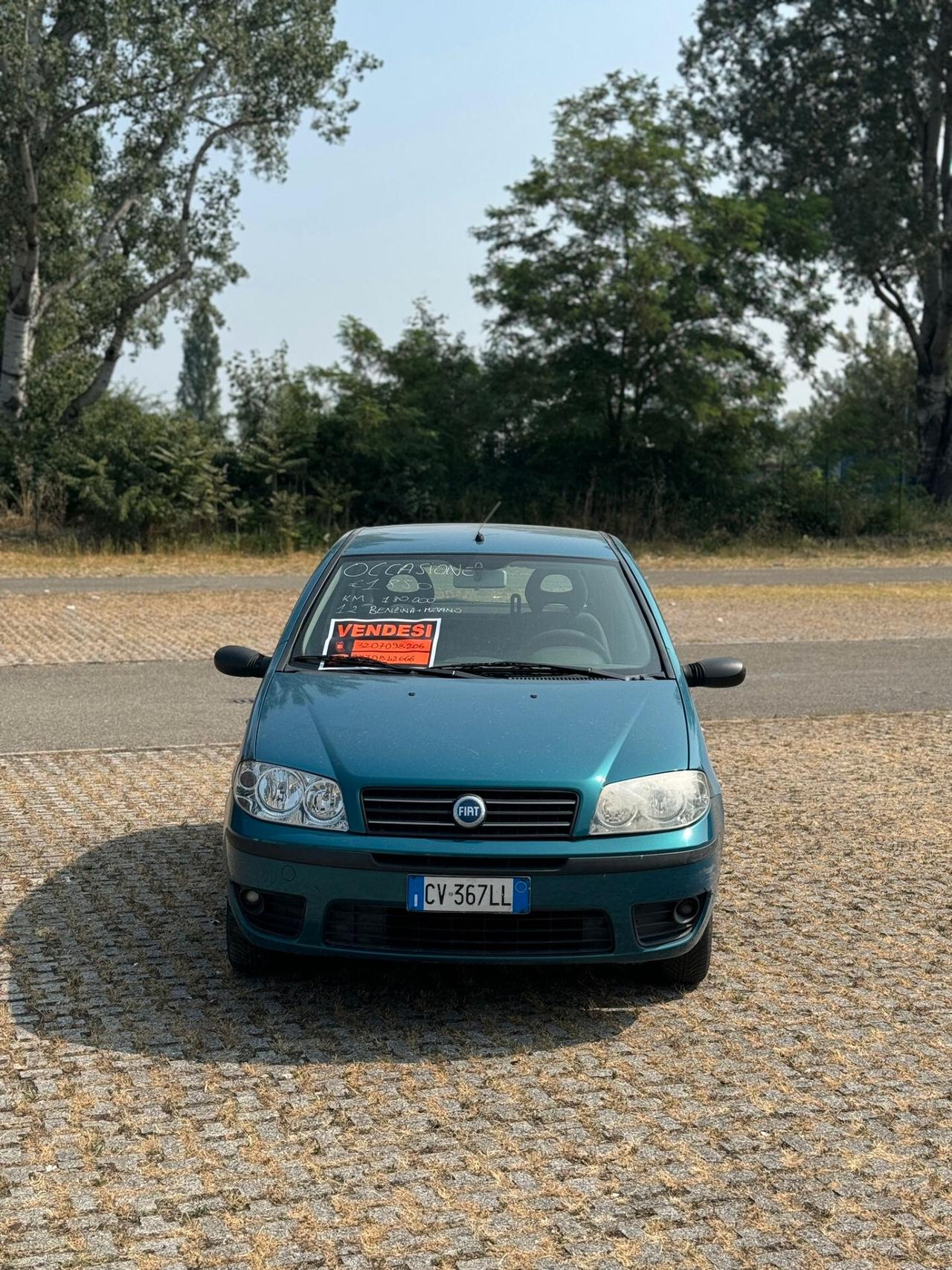 Fiat Punto 1.2 5 porte Active Natural Power