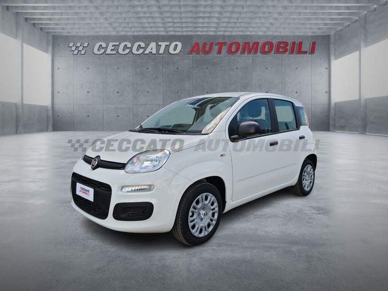 FIAT Panda Panda 1.0 70cv Hybrid Icon