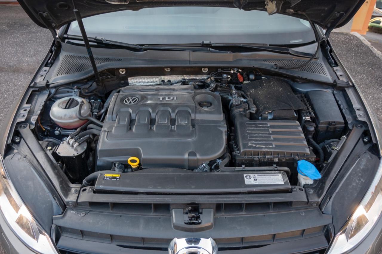 Volkswagen Golf 1.6 TDI 110 CV ALLSTAR - 2016