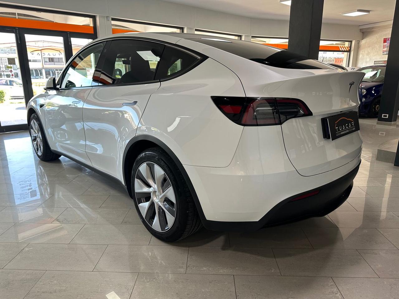Tesla Model Y Standard Range RWD single moto #6584