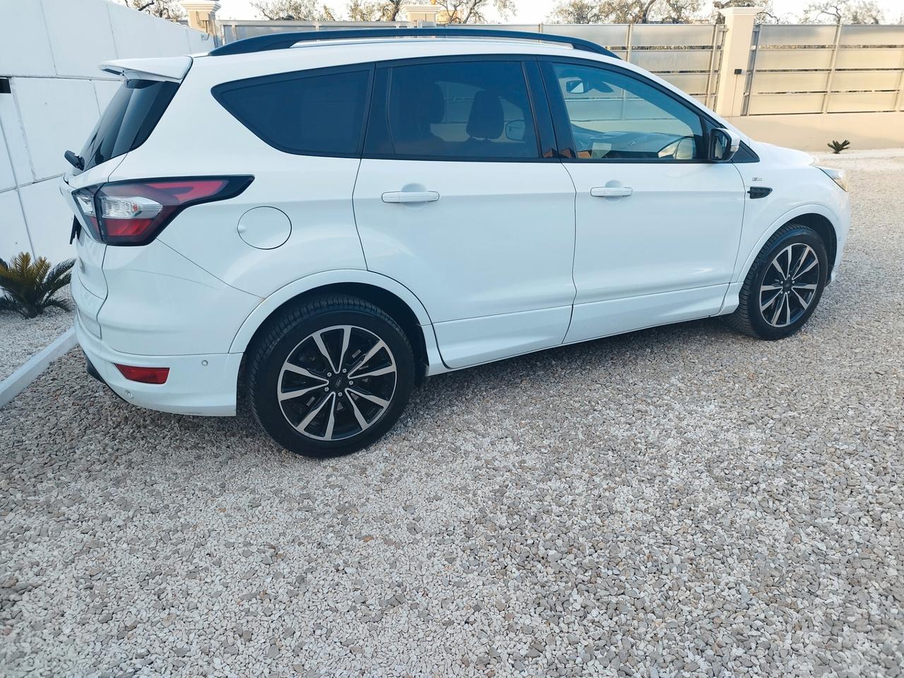 Ford Kuga 1.5 TDCI 120 CV S&S 2WD Powershift ST-Line