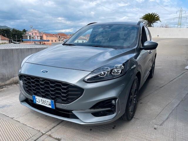 Ford Kuga 1.5 EcoBlue 120 CV aut. 2WD ST-Line X
