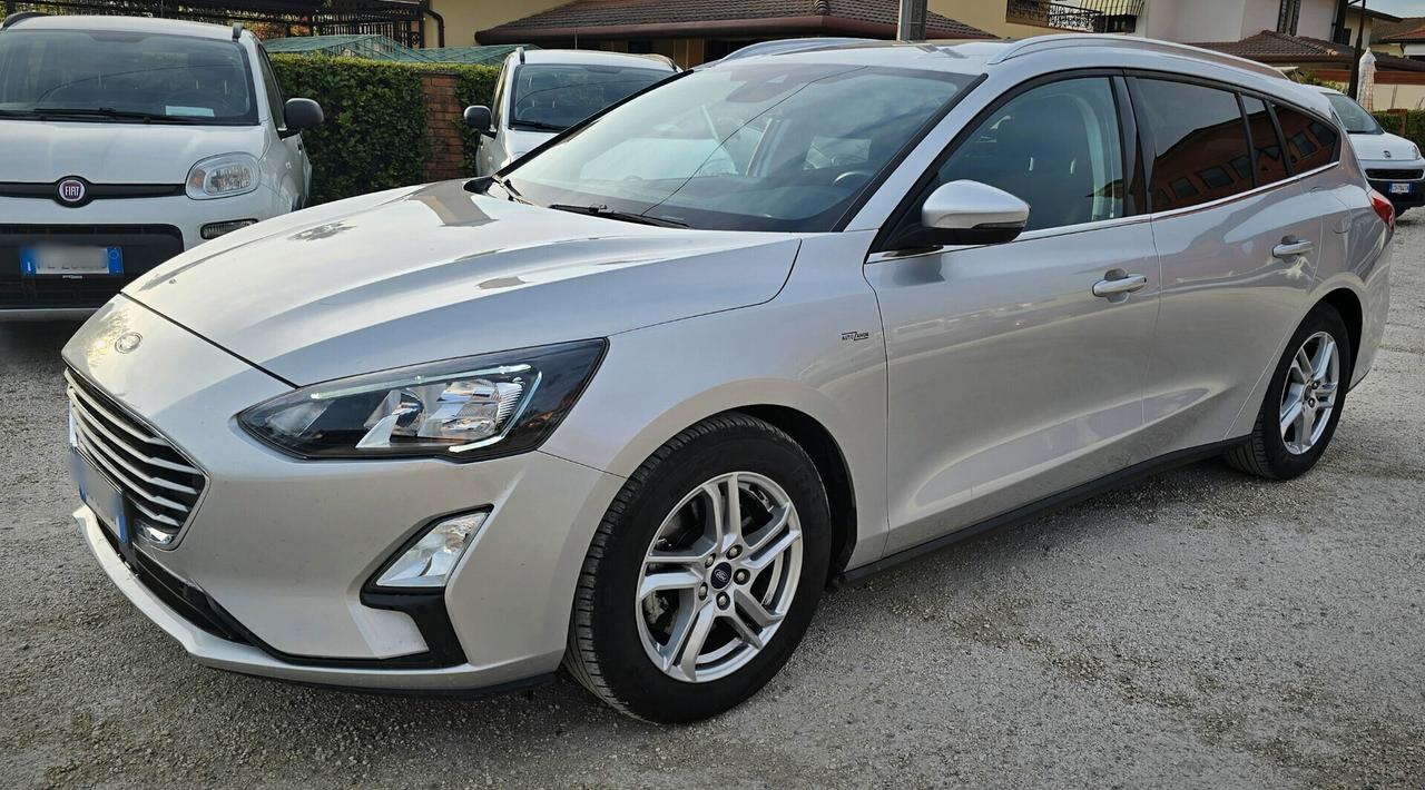 Ford Focus 1.5 EcoBlue 120 CV Business - 2020