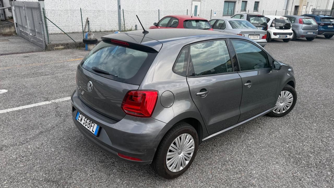 Volkswagen Polo 1.2 5 porte Trendline