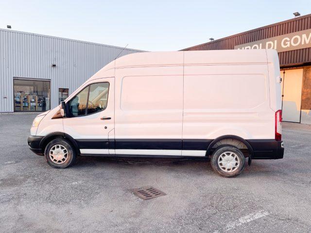 FORD Transit 350 2.0TDCi EcoBlue 170CV PL-TM Furgone Trend