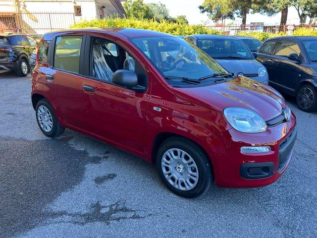 Fiat Panda Panda1.0 firefly hybrid KM 0 DIVERSI COLORI pronte