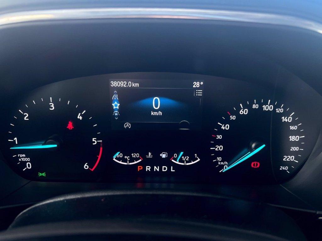 FORD Focus 1.5 EcoBlue 115 CV automatico 5p. Active del 2023