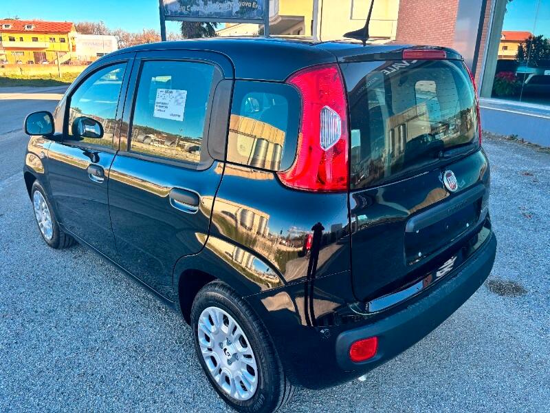 FIAT Panda 3ª serie Panda 1.0 FireFly S&S Hybrid