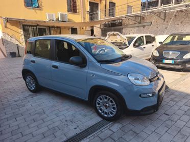 Fiat Panda 1.0 FireFly S&S Hybrid Garmin