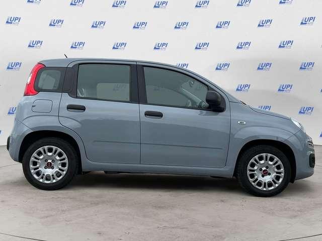 Fiat Panda 1.0 firefly hybrid s&s 70cv