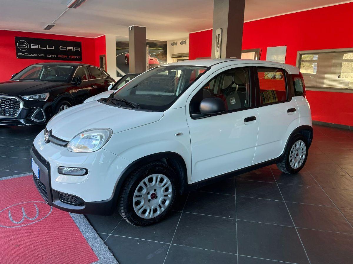 FIAT PANDA 1.0 FIREFLY HYBRID 70CV CITY LIFE