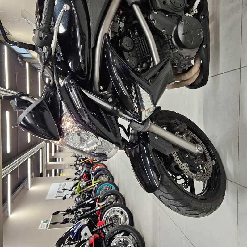 Kawasaki ER-6N - 2010