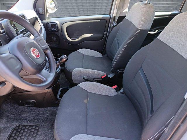 FIAT Panda 3ª serie 1.0 FireFly S&S Hybrid City Life