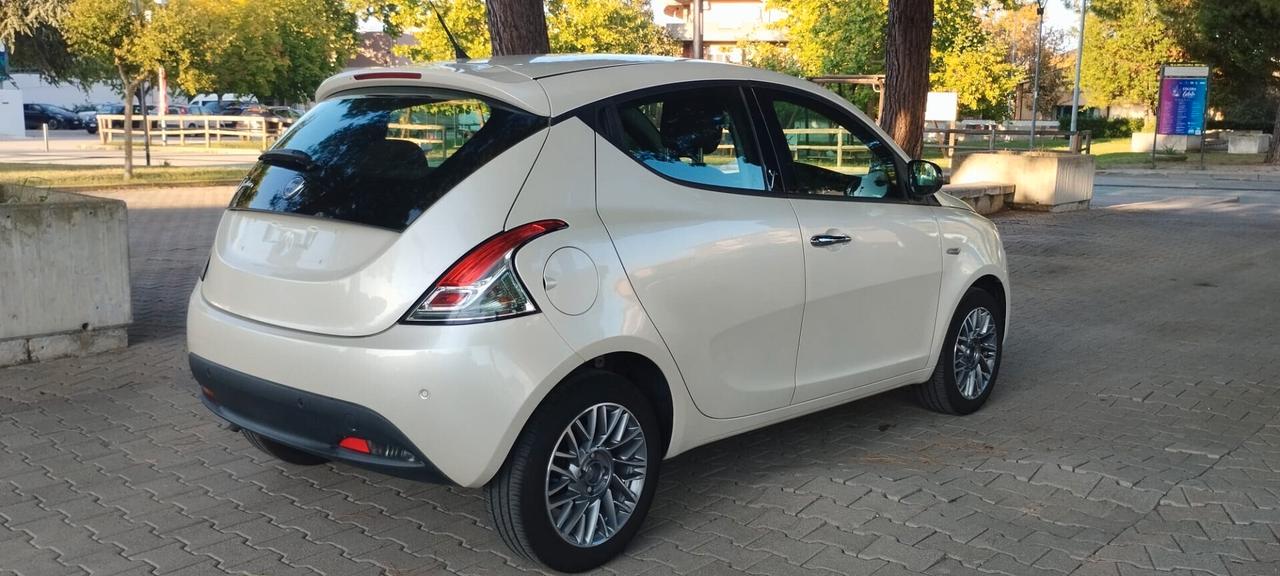 Lancia Ypsilon 1.2 69 CV 5 porte S&S Platinum