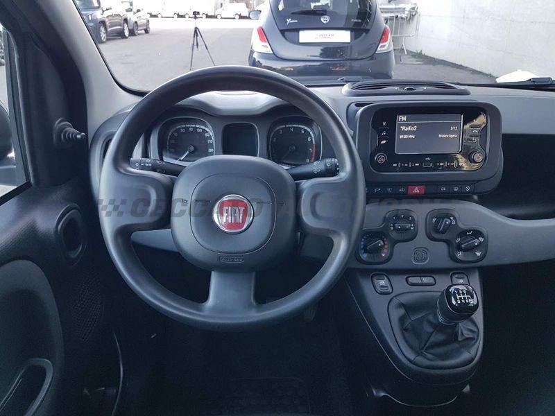 FIAT Panda Panda 1.0 firefly hybrid City Life s&s 70cv 5p.ti