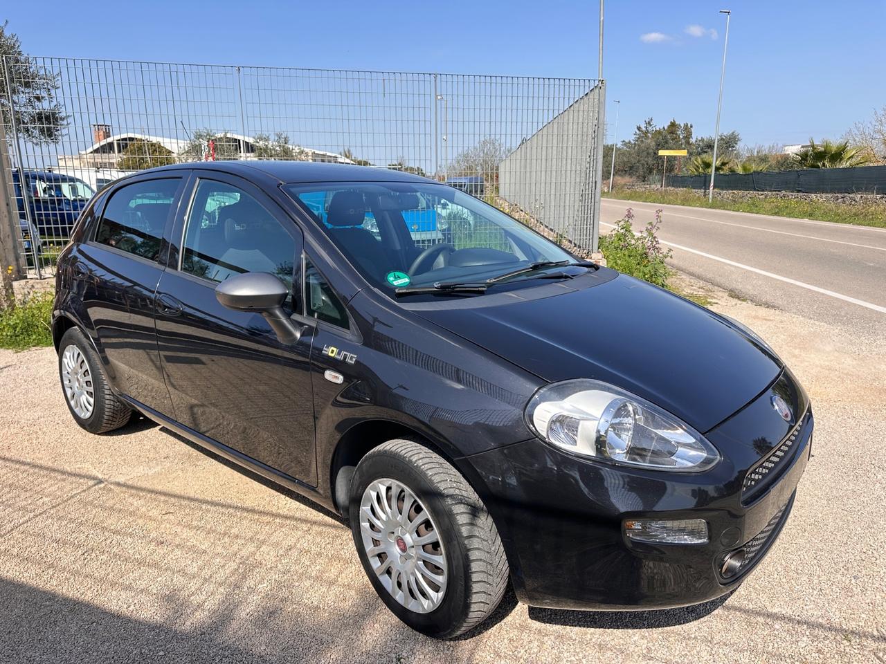 Fiat Punto Young 5 porte Lounge-2014