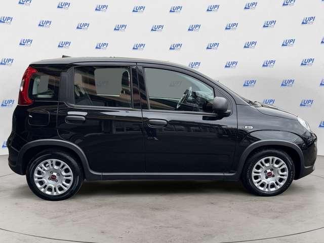 Fiat Panda 1.0 firefly hybrid s&s 70cv 5p.ti