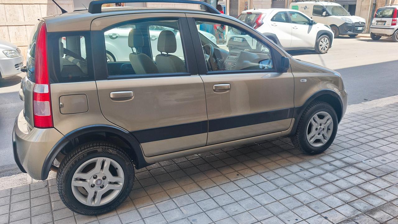 Fiat Panda 1.2 Climbing Natural Power 2008