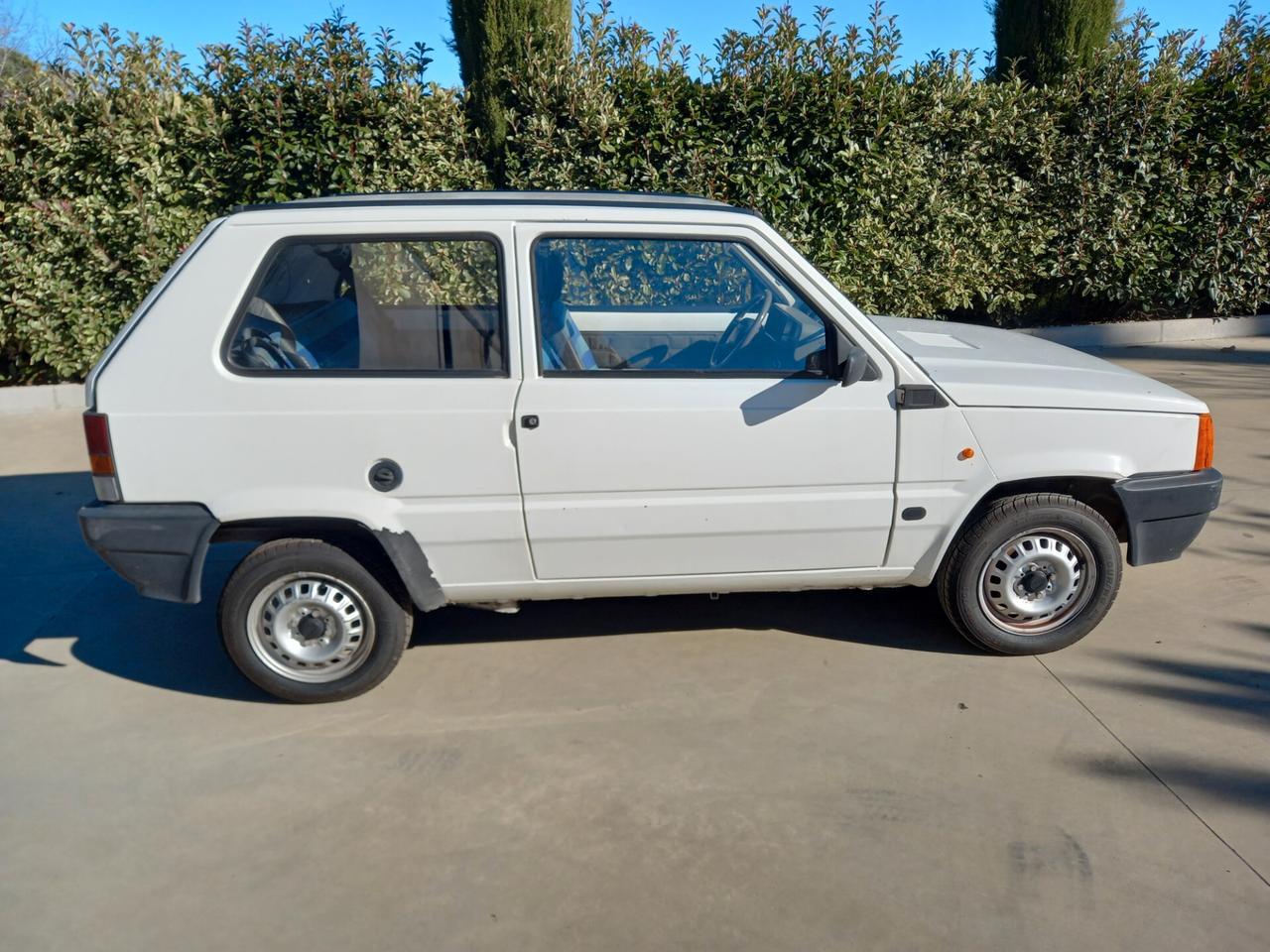 Fiat Panda 900 i.e. cat Young