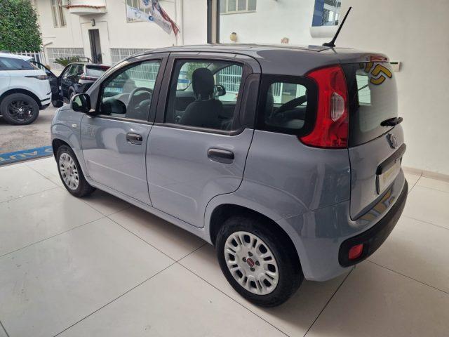 FIAT Panda 1.2 Easy tua da ?99,00