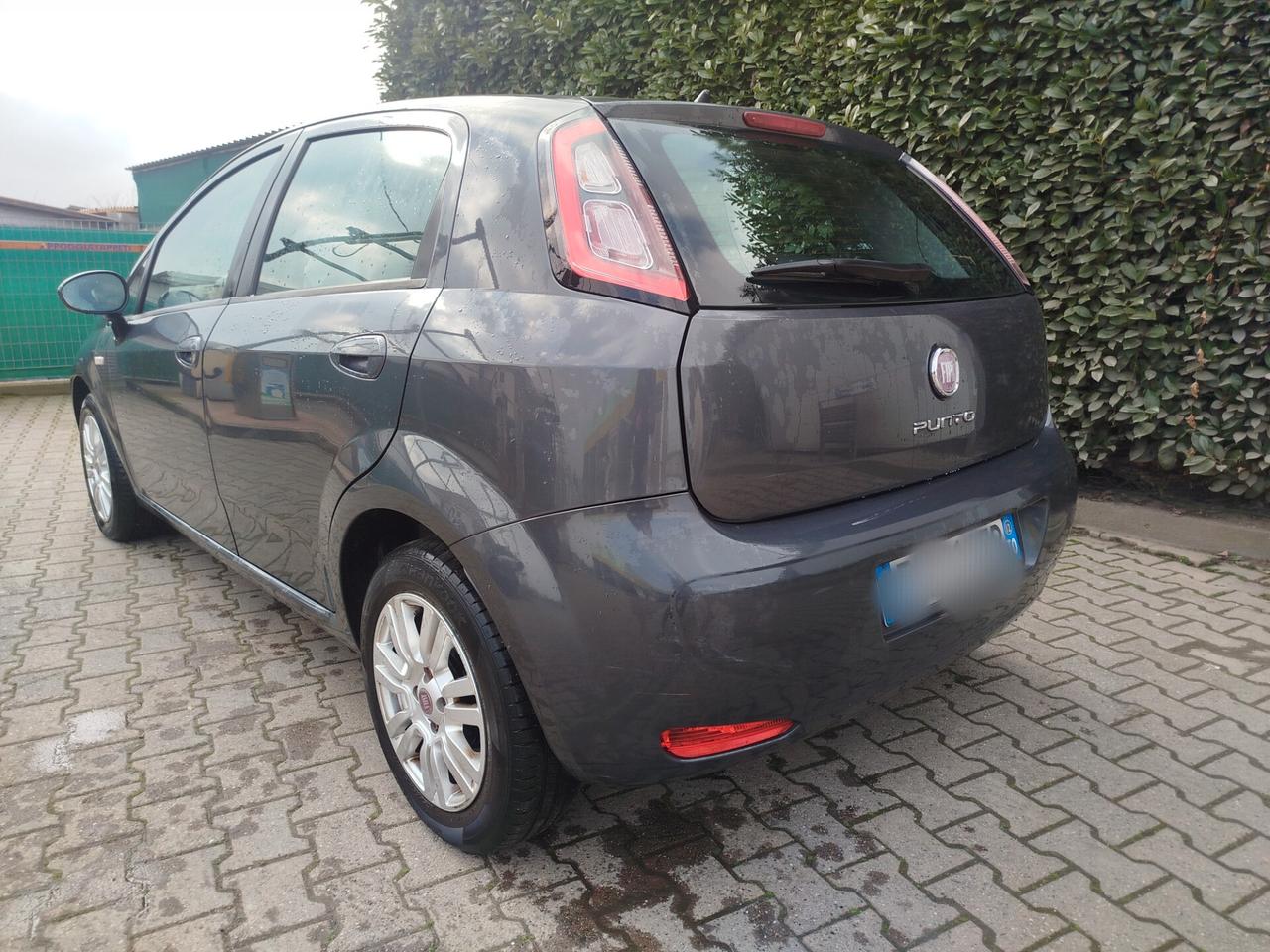 Fiat Punto Evo 1.2 5 porte 50th anniversario