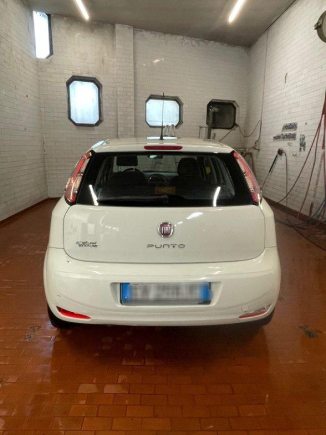 FIAT Punto 1.4 8V 5 porte NaturalPower Lounge
