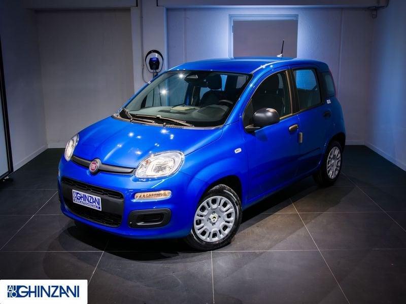 FIAT Panda Panda 1.0 FireFly S&S Hybrid Icon - "PREZZO VERO"