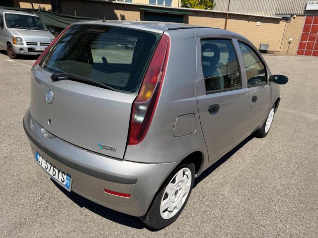 FIAT Punto 1.2 5p Active Natural Power perfetta di meccanica