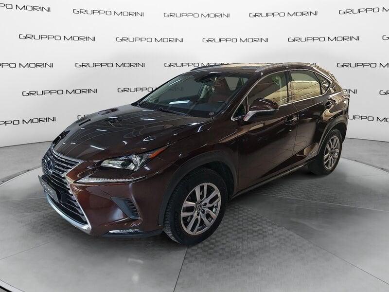 Lexus NX Hybrid 4WD Executive