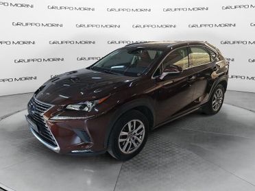 Lexus NX Hybrid 4WD Executive