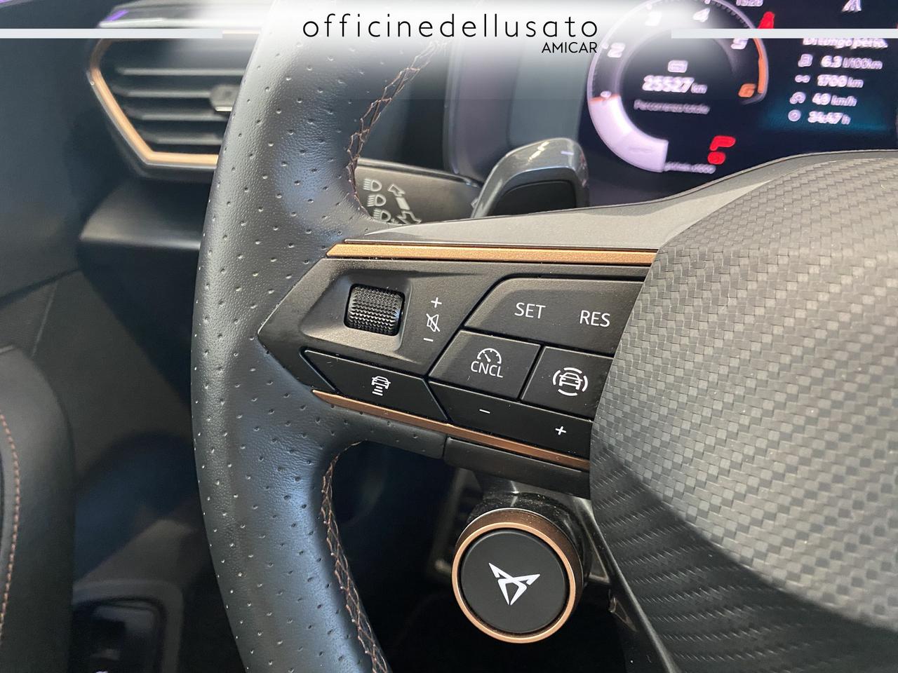 Cupra Formentor 2.0 tdi 150cv dsg