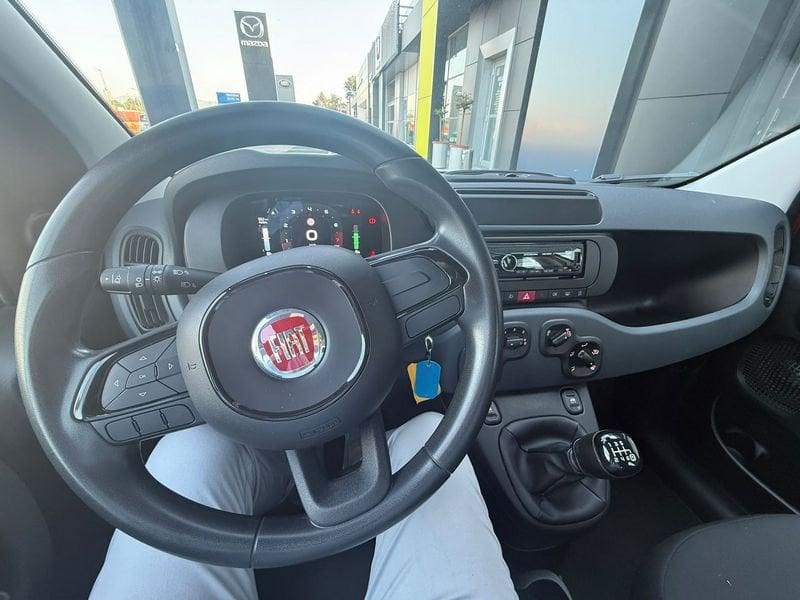 FIAT Panda NEW 1.0 70cv Hybrid PANDA