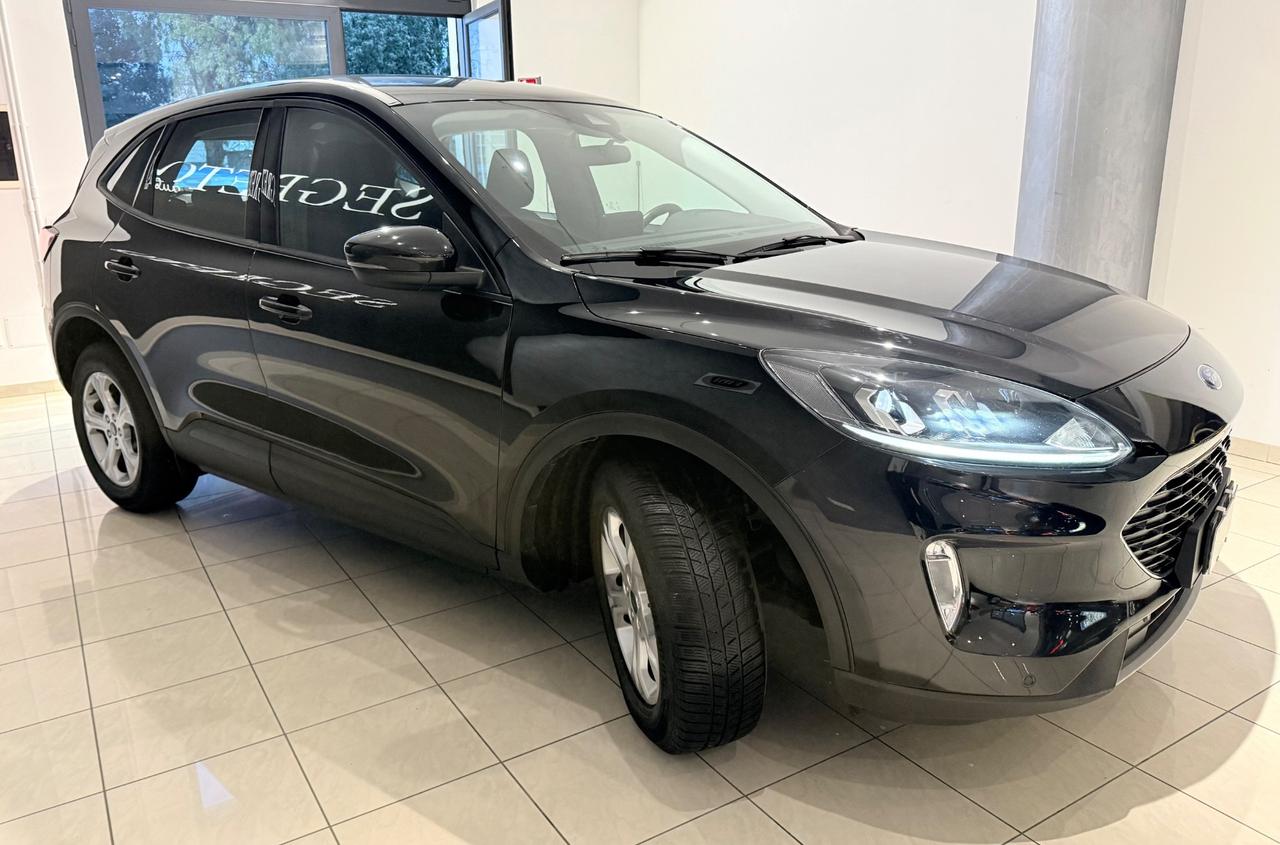 Ford Kuga 1.5 EcoBlue 120 CV aut. 2WD Connect