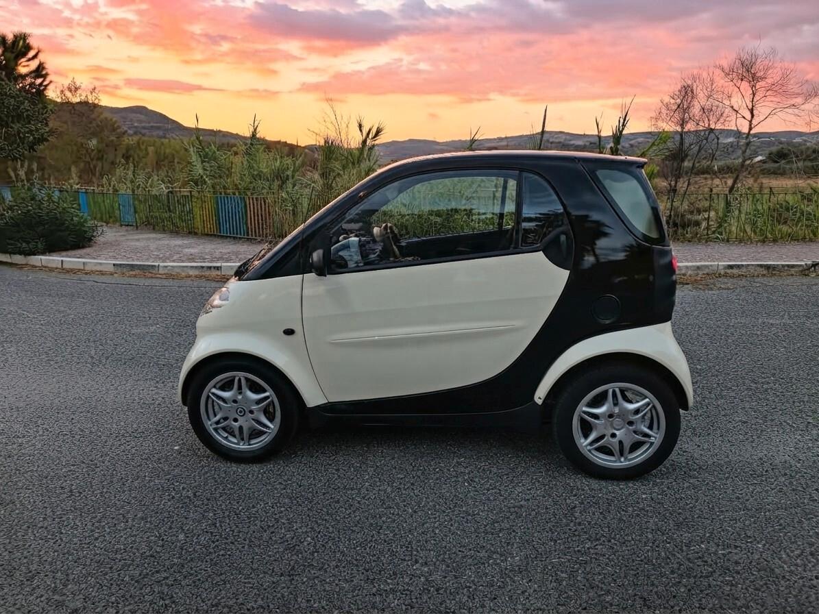 Smart 600 & passion