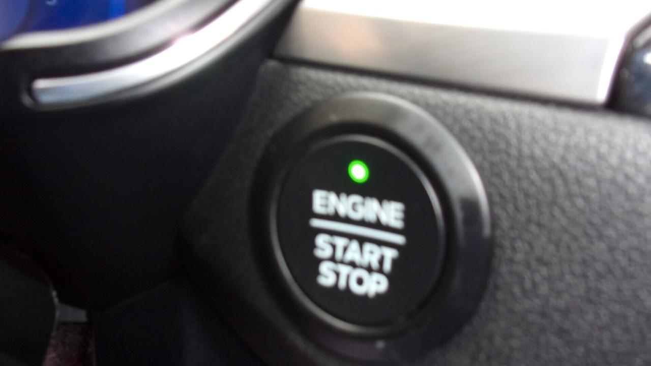 Ford Kuga 1.5 EcoBlue 120 CV 2WD Titanium