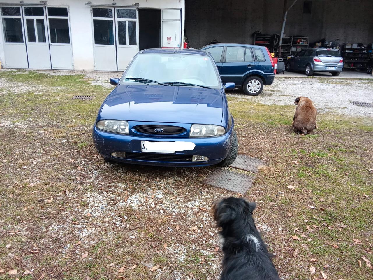 Ford Fiesta 1.2 porte Techno