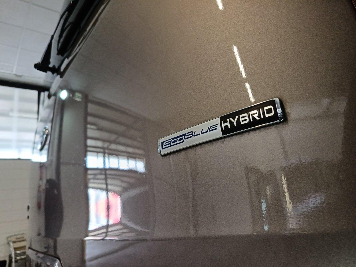 FORD Tourneo Custom 1ª s - Tourneo Custom 320 2.0 EcoBlue 150CV MHEV PC Active