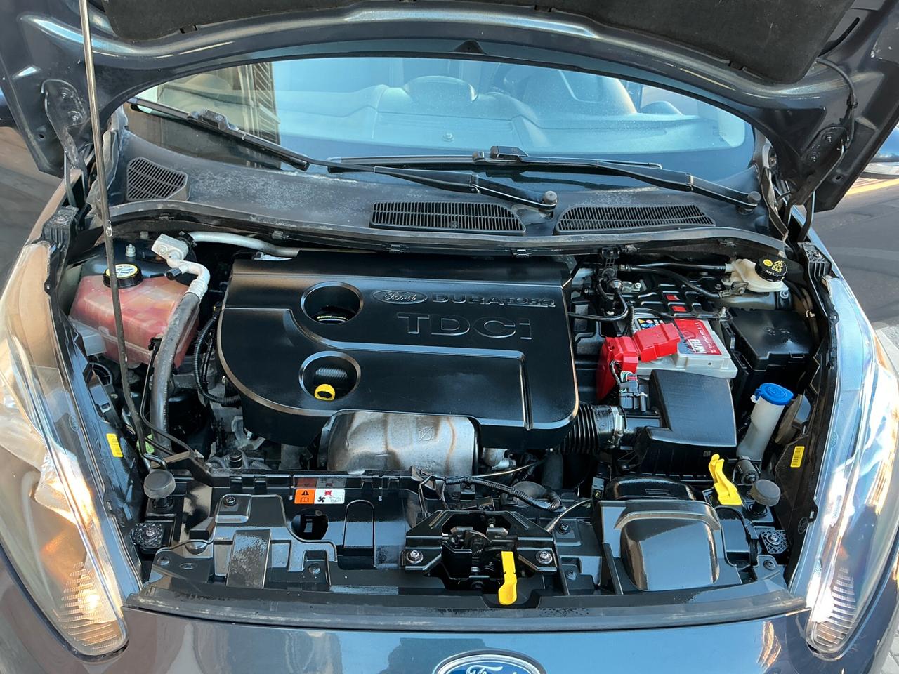 Ford Fiesta 1.5 TDCi 75CV 5 porte