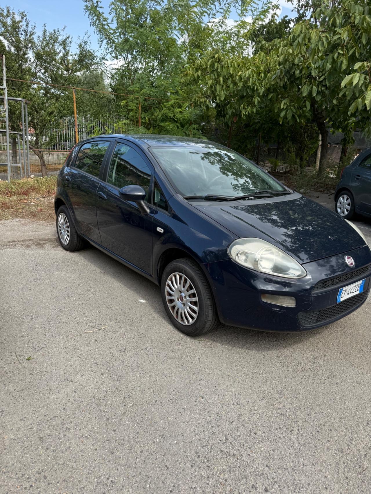 Fiat Punto 1.4 8V 5 porte Natural Power Lounge
