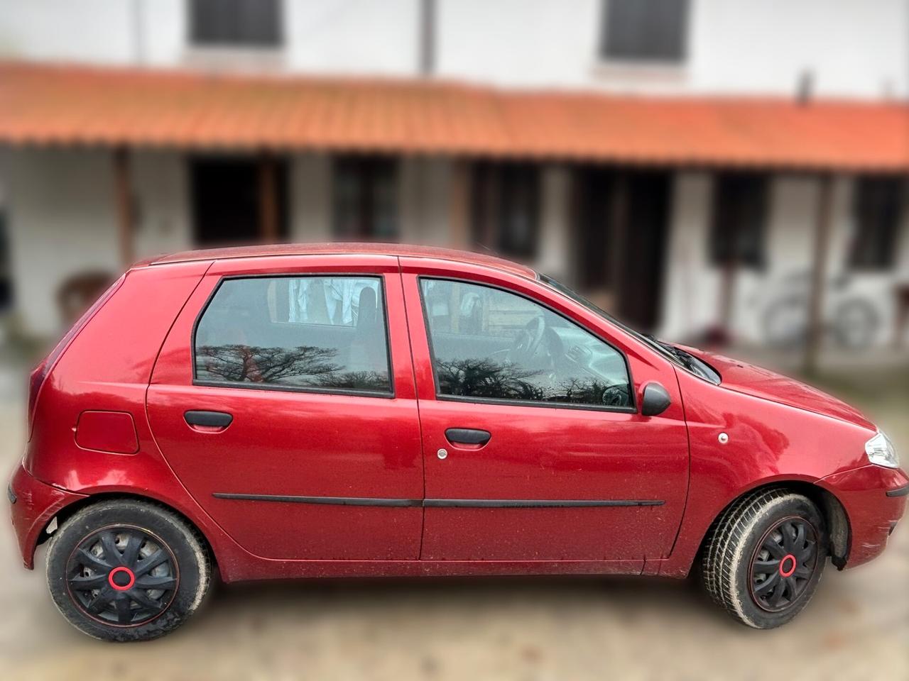 Fiat Punto 5p 1.2 natural power - ANCHE PER NEOPATENTATI