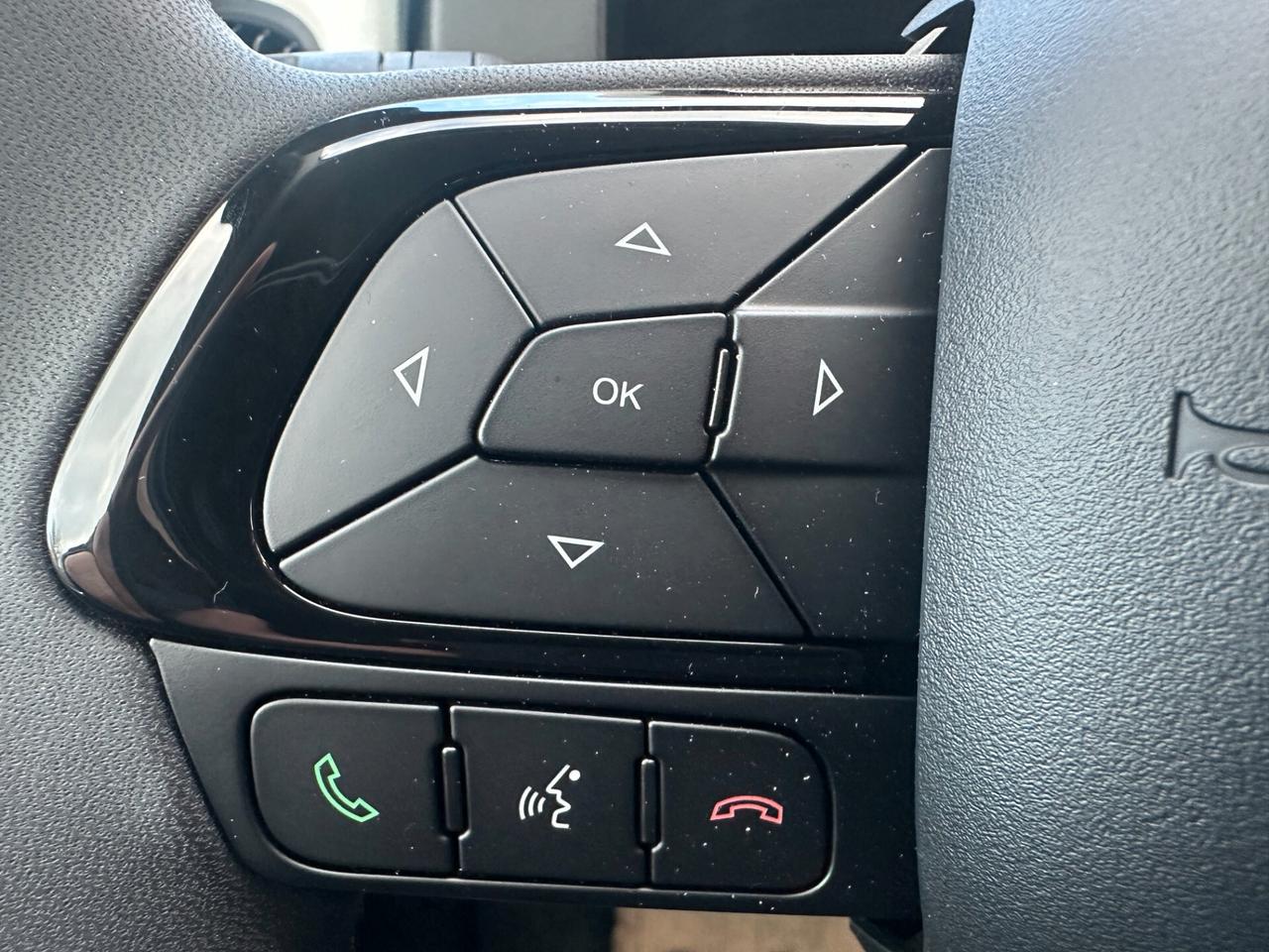 Fiat Panda Pandina 1.0 FireFly 65 CV Hybrid Cross