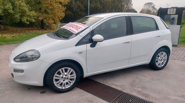 Fiat Punto 1.2 8V 5 porte Lounge - Neopatentati