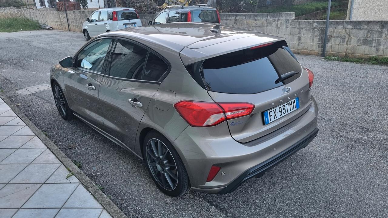 Ford Focus 1.0 EcoBoost 125 CV 5p. ST-Line