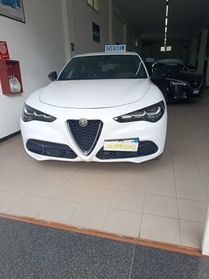 Alfa Romeo Stelvio 2.2 Turbodiesel 160 CV AT8 RWD Ti